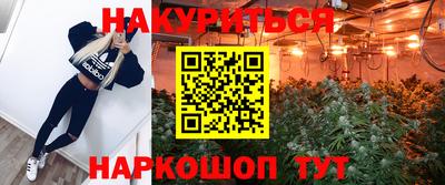 a pvp Новозыбков