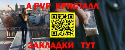 a pvp Новозыбков