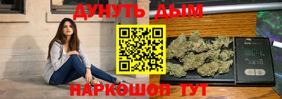 a pvp Новозыбков
