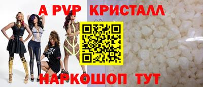 a pvp Новозыбков